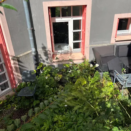Beautiful And Bright Flat Right In Front Of * Zürich